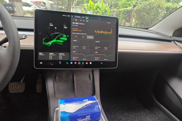 Tesla Model 3 2021 #13 Tesla Model 3 2021 car image #13