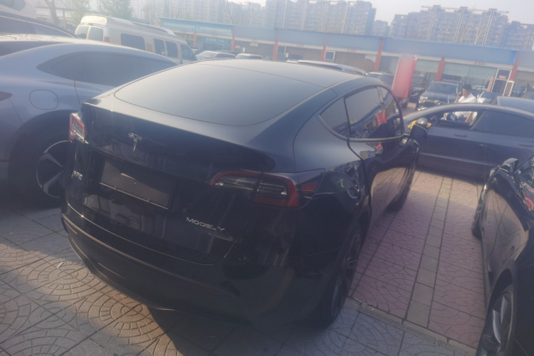 Tesla Model Y 2023 car image #7