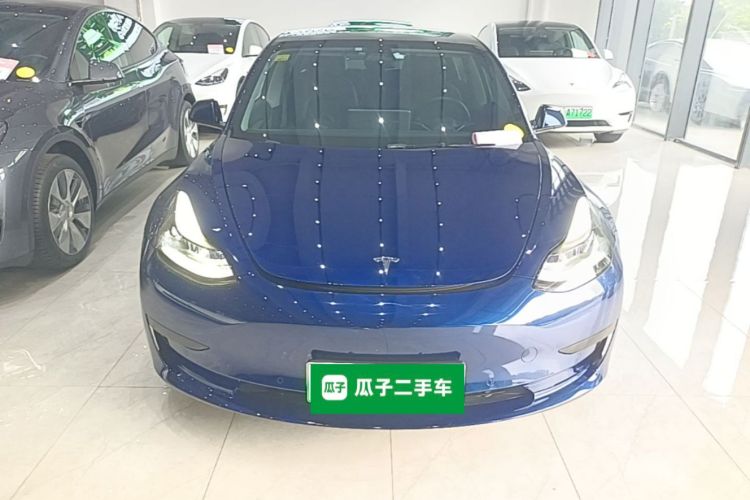 Tesla Model 3 2021 #3 Tesla Model 3 2021 car image #3