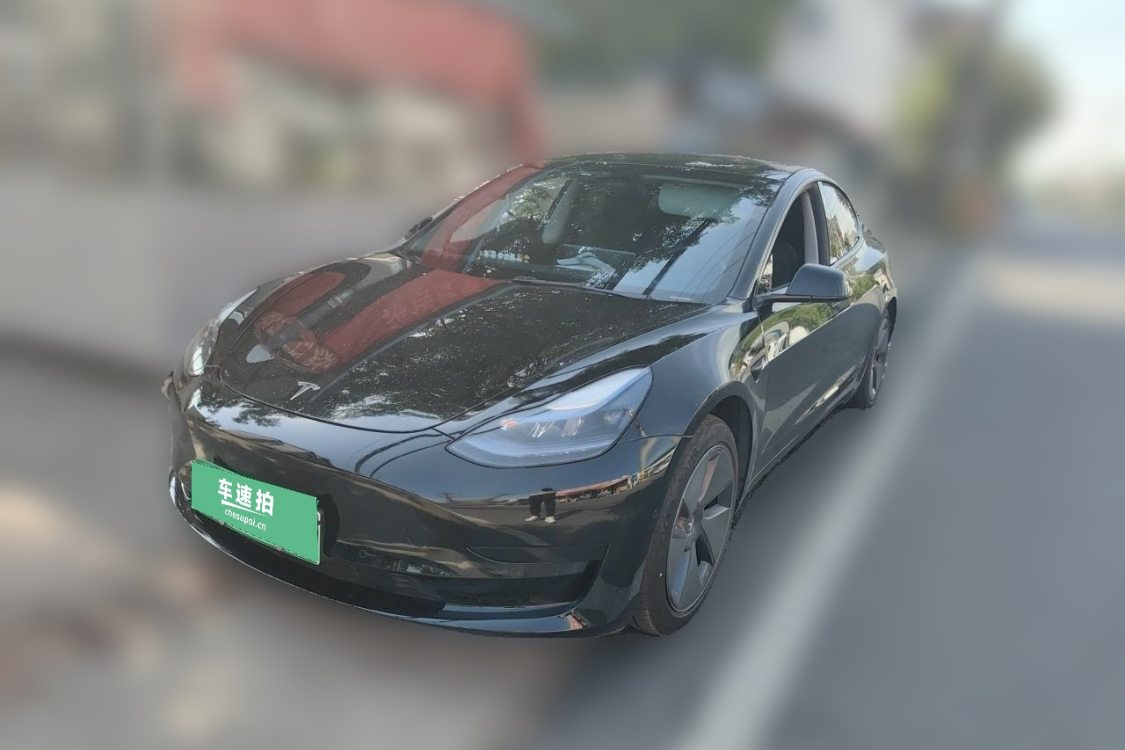 Tesla Model 3 2021 Tesla Model 3 2021 car image