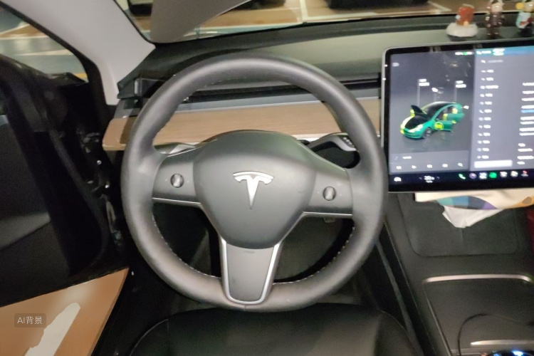 Tesla Model 3 2022 car image #12