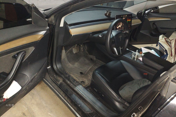Tesla Model 3 2023 immagine di auto #18