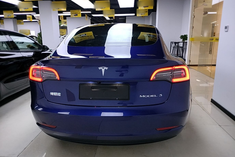 Tesla Model 3 2020 car image #6