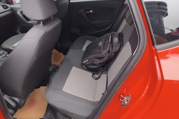 Volkswagen Polo 2018 car image #17
