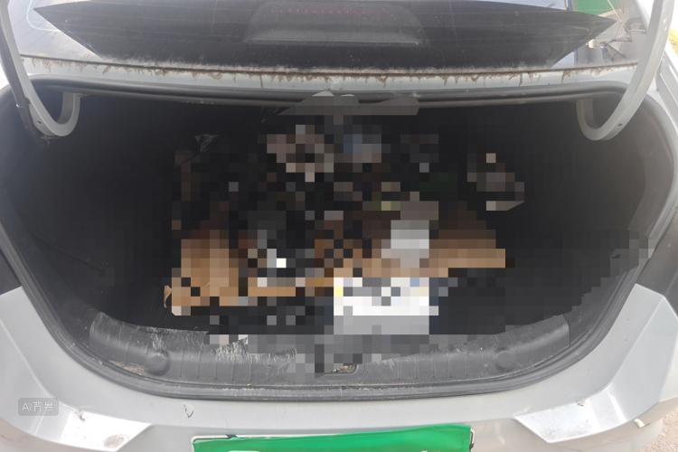 GEELY Emgrand L HiP 2022 imagen de coche #21