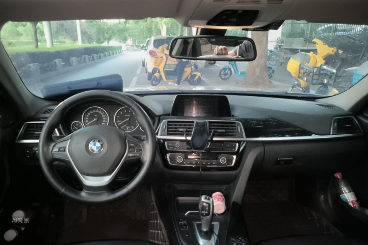 BMW 3 Series 2016 car image #11