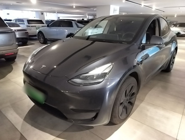 Tesla Model Y 2024 car image 