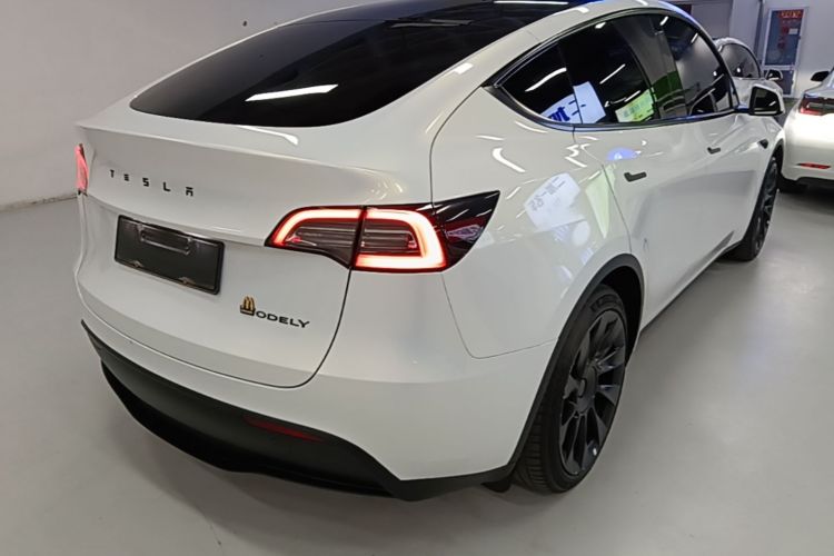 Tesla Model Y 2023 #7 Tesla Model Y 2023 car image #7