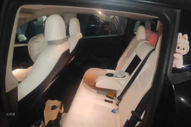 Tesla Model Y 2022 car image #19