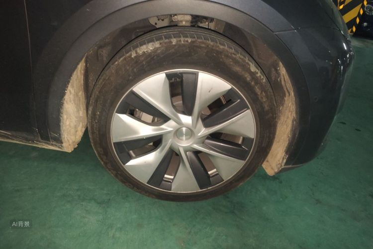 Tesla Model Y 2021 car image #9