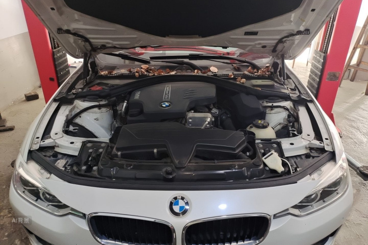 BMW 3 Series 2016 car image #22