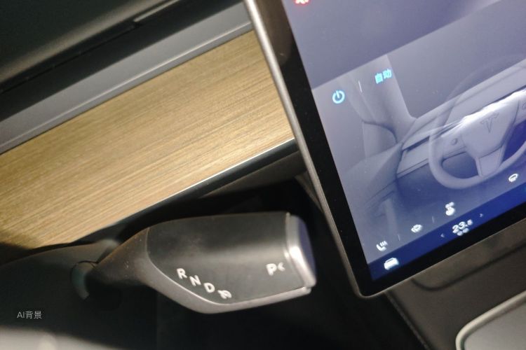 Tesla Model Y 2023 car image #16