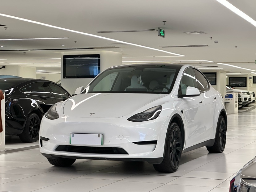 Tesla Model Y 2024 Tesla Model Y 2024 car image