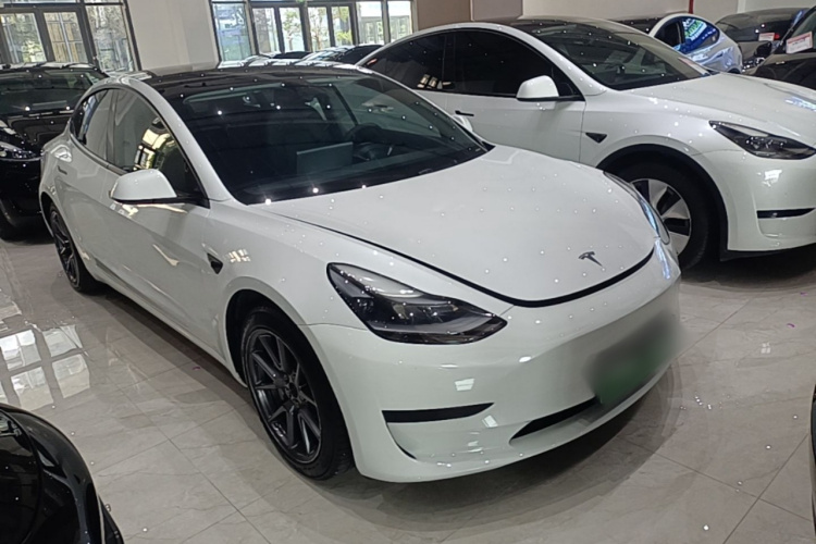 Tesla Model 3 2021 #4 Tesla Model 3 2021 car image #4