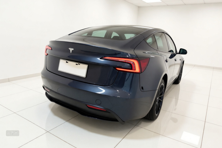 Tesla Model 3 2024 #7 Tesla Model 3 2024 car image #7