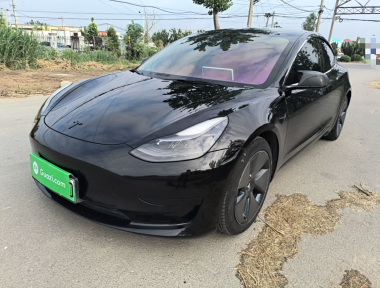 Tesla Model 3 2021 Tesla Model 3 2021 immagine di auto