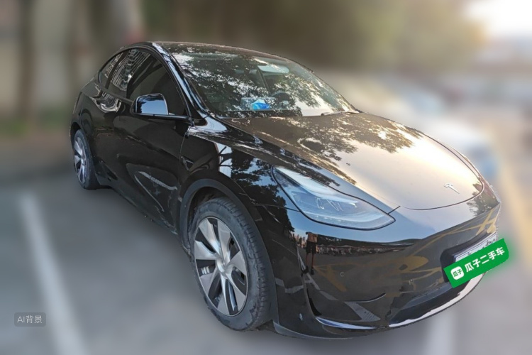 Tesla Model Y 2022 car image #4