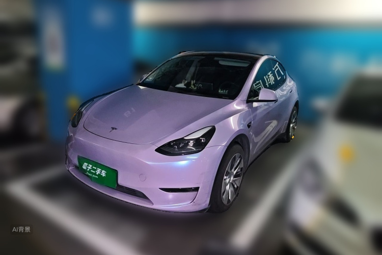 Tesla Model Y 2021 #2 Tesla Model Y 2021 car image #2