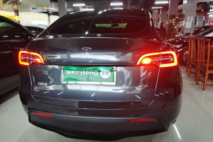 Tesla Model Y 2024 car image #6