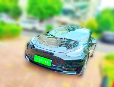 Tesla Model 3 2021 car image 