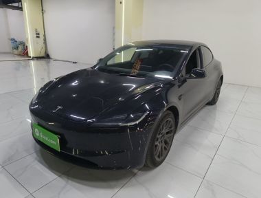 Tesla Model 3 2024 Tesla Model 3 2024 immagine di auto