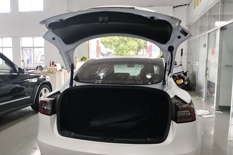 Tesla Model 3 2021 #19 Tesla Model 3 2021 car image #19