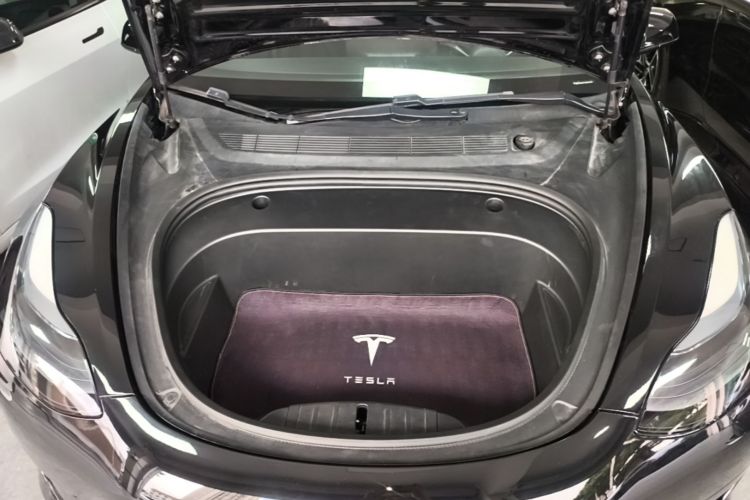Tesla Model 3 2021 car image #22