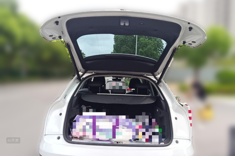 Audi Q3 2017 car image #21