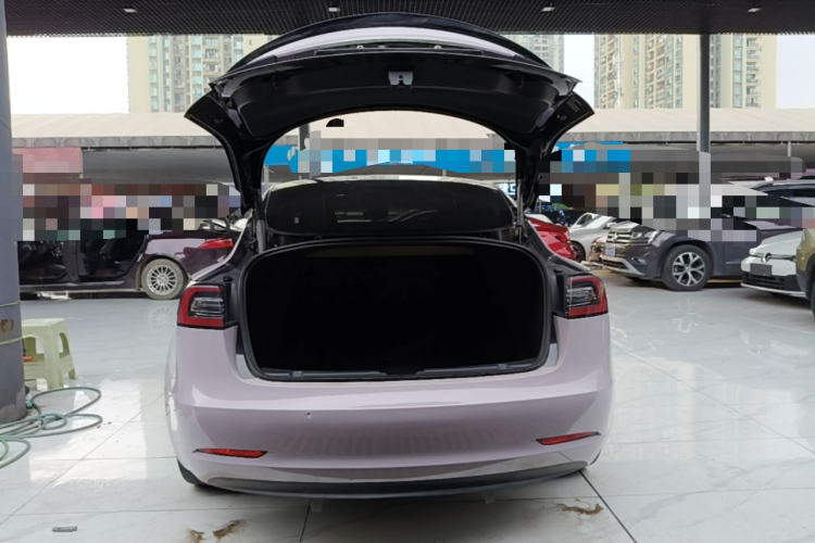 Tesla Model 3 2021 imagem de carro #19