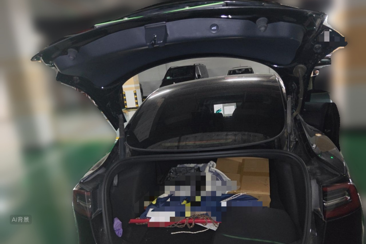 Tesla Model 3 2021 immagine di auto #21