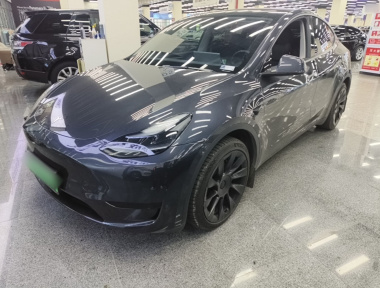 Tesla Model Y 2024 Tesla Model Y 2024 car image