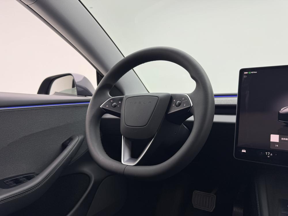 Tesla Model 3 2025 #16 Tesla Model 3 2025 car image #16