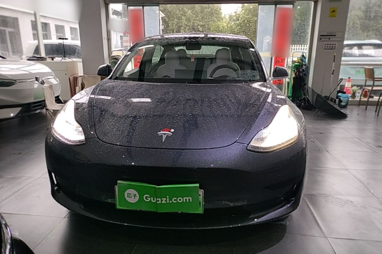 Tesla Model 3 2020 #3 Tesla Model 3 2020 car image #3
