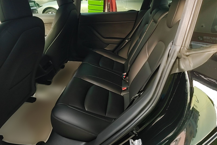 Tesla Model 3 2022 car image #17