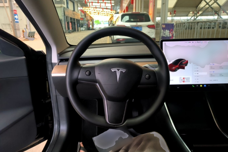 Tesla Model 3 2020 immagine di auto #11