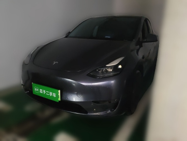 Tesla Model Y 2023 Tesla Model Y 2023 car image