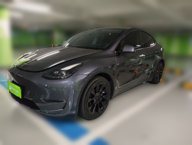 Tesla Model Y 2022 car image 
