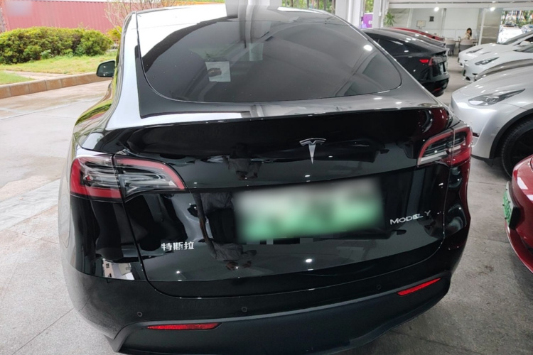 Tesla Model Y 2023 car image #6