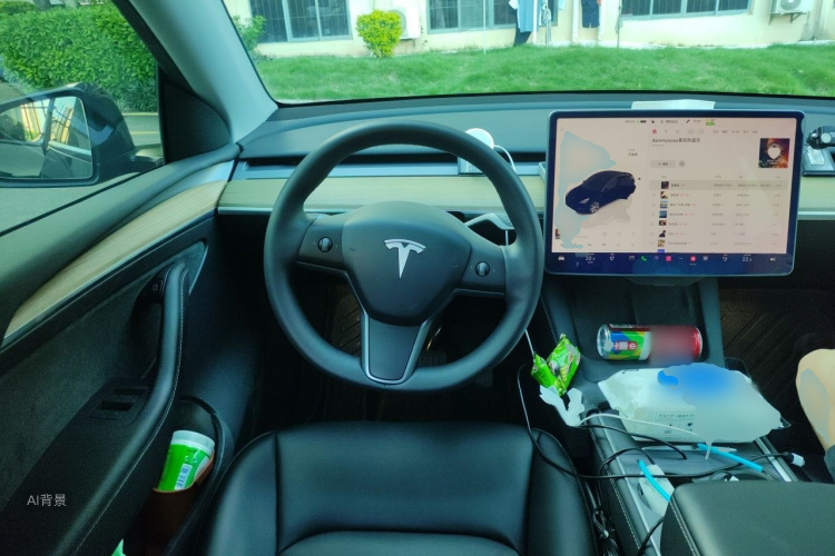 Tesla Model Y 2022 car image #12