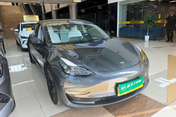 Tesla Model 3 2021 #4 Tesla Model 3 2021 car image #4