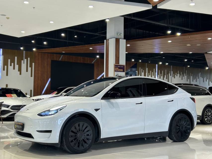 Tesla Model Y 2022 Tesla Model Y 2022 car image