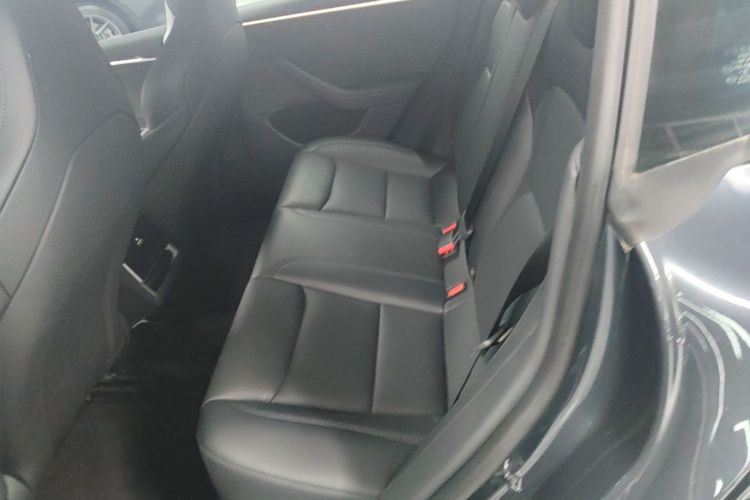 Tesla Model 3 2024 car image #17