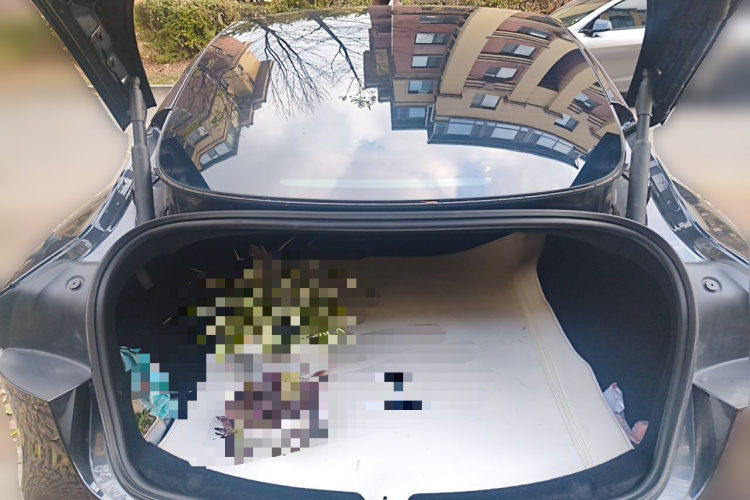 Tesla Model 3 2024 imagem de carro #17