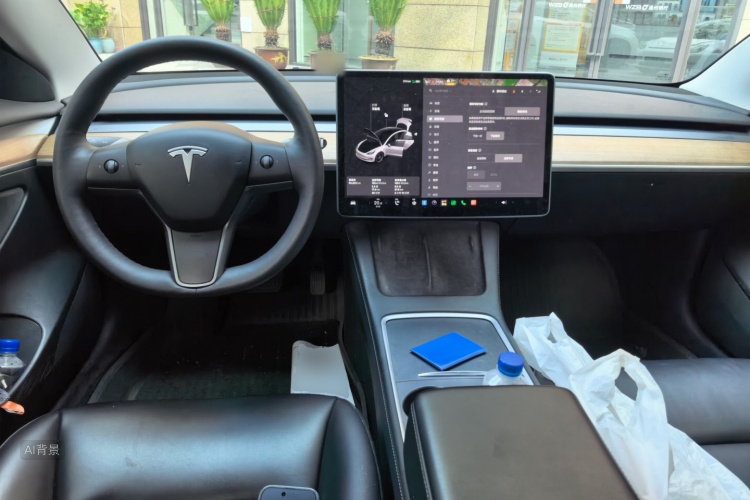 Tesla Model 3 2021 car image #11