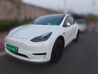 Tesla Model Y 2024 car image 