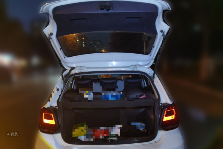Volkswagen Polo 2016 image de voiture #21