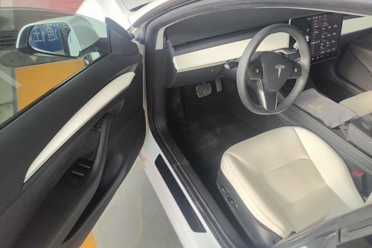 Tesla Model 3 2021 car image #16