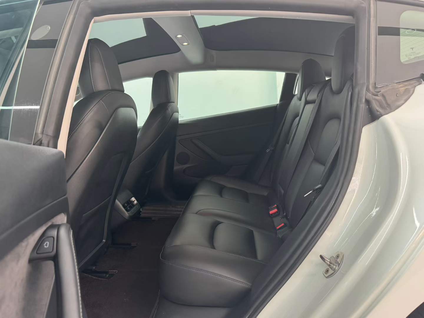 Tesla Model 3 2021 #3 Tesla Model 3 2021 car image #3