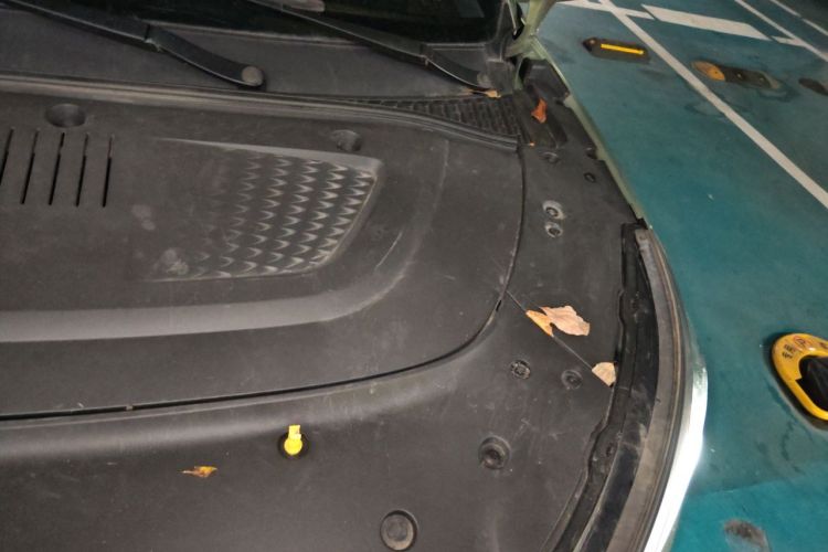BYD Yuan Plus 2023 car image #24