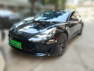 Tesla Model 3 2020 Tesla Model 3 2020 car image